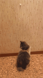 0 7cc13 3dbd42d7 orig