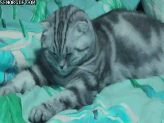 0 7cc1d 50214916 orig