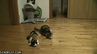 0 7cc1c 3c4b698f orig