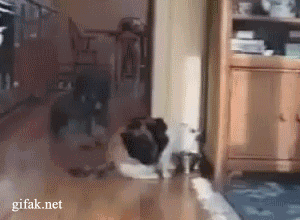 0 7cc1e d2f8c194 orig