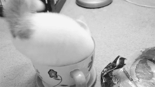 0 7cc23 dc0dd2fd orig