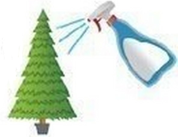 Как дольше сохранить живую новогоднюю ёлку